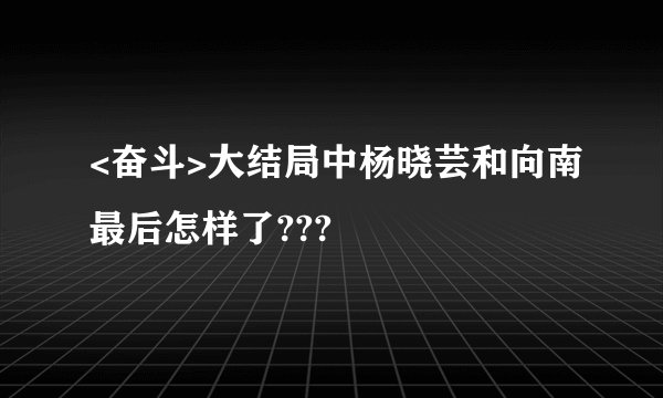 <奋斗>大结局中杨晓芸和向南最后怎样了???