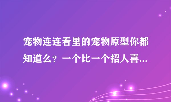宠物连连看里的宠物原型你都知道么？一个比一个招人喜欢，还有它