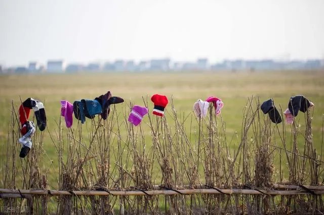 为什么感觉今年大家都急着回农村过年？