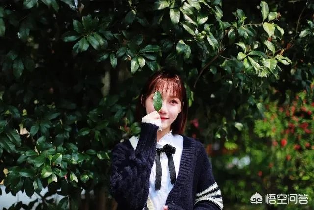 杭州的太子湾公园好玩吗？是否值得周末去玩？