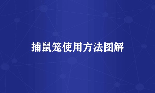 捕鼠笼使用方法图解
