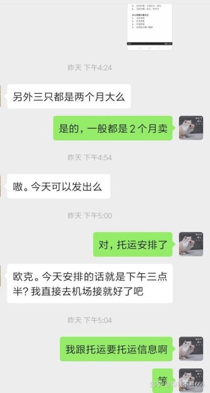 开个宠物店大概多少钱？