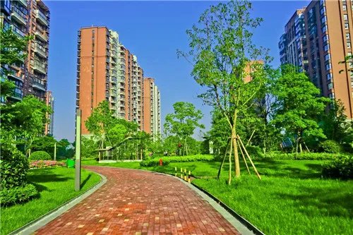 小区门牌号是怎么编的