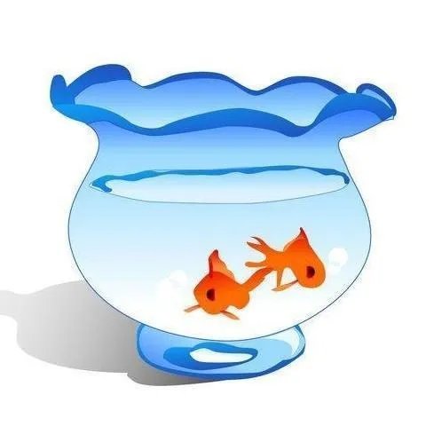 金鱼缸法则？