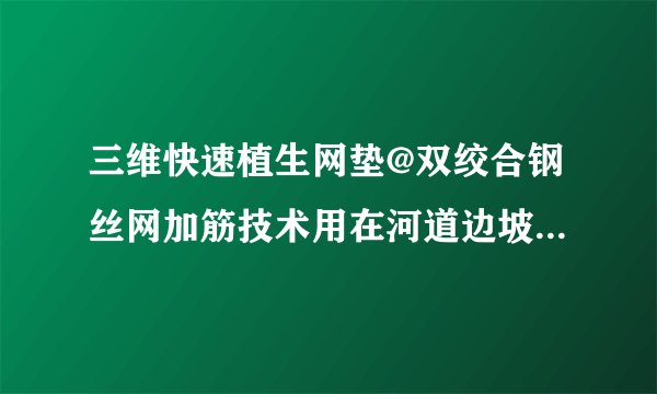 三维快速植生网垫@双绞合钢丝网加筋技术用在河道边坡植生优势