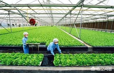 2018年农业的商机有哪些？