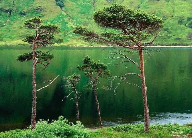 上联：雨梳冬风丝丝凉，如何对下联？