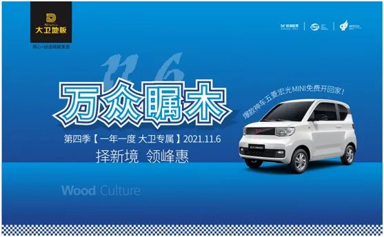 11.6大卫地板“万众瞩木”第四季丨择新境领峰惠