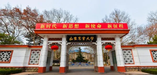 泰安的大学都有哪些