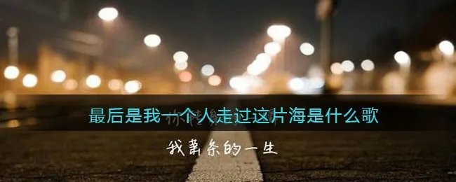 最后是我一个人走过这片海是什么歌