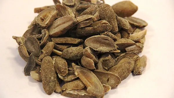 杜仲的功效与作用