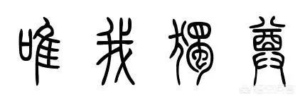 怎么评价蔡依林的《唯我独尊》演唱会记录片？