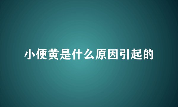小便黄是什么原因引起的