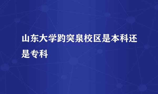 山东大学趵突泉校区是本科还是专科