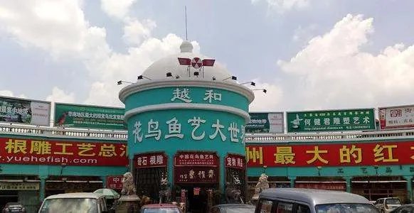 广东狗市场