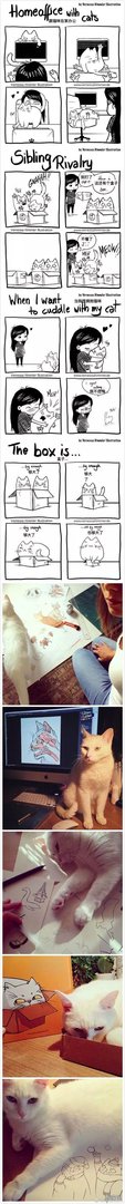 这磨人的小妖精!这20张插画告诉你为什么千万别养猫