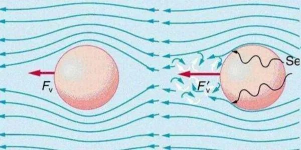 黏度系数与什么有关？