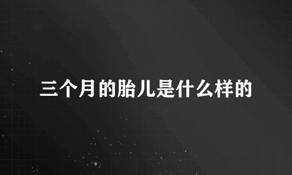 三个月的胎儿是什么样的
