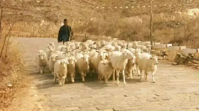 偏关老牛湾景区怎么样?值得去吗?