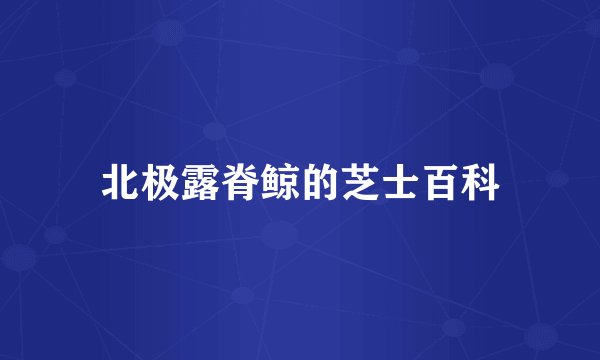 北极露脊鲸的芝士百科