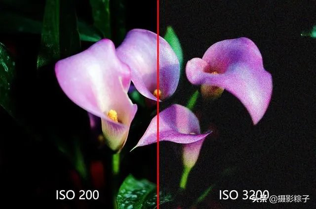 小白怎么学习摄影？