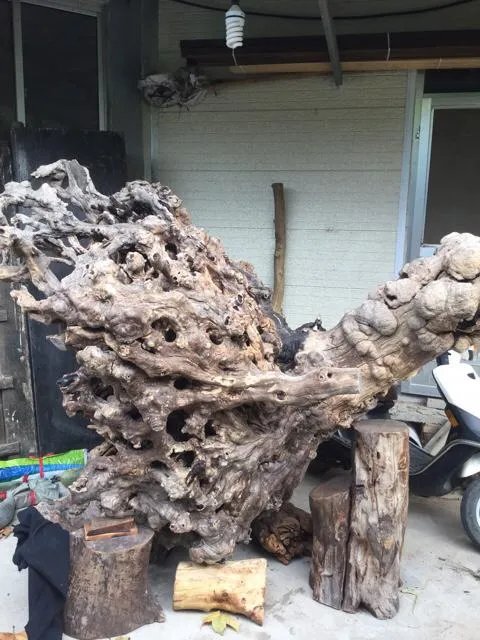 根雕的艺术价值在哪里？大型的根雕作品有哪些？