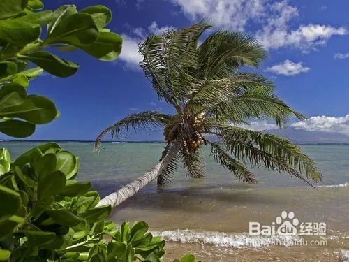 北京到巴厘岛旅游攻略之2012年版本