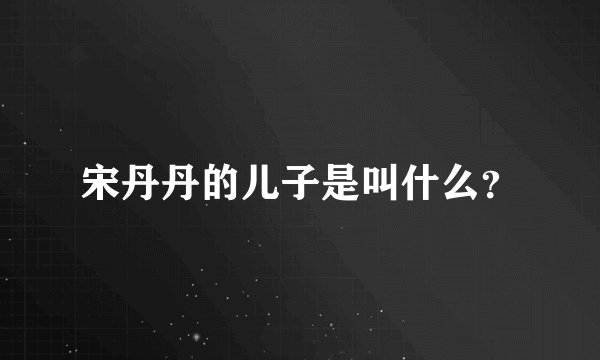 宋丹丹的儿子是叫什么？