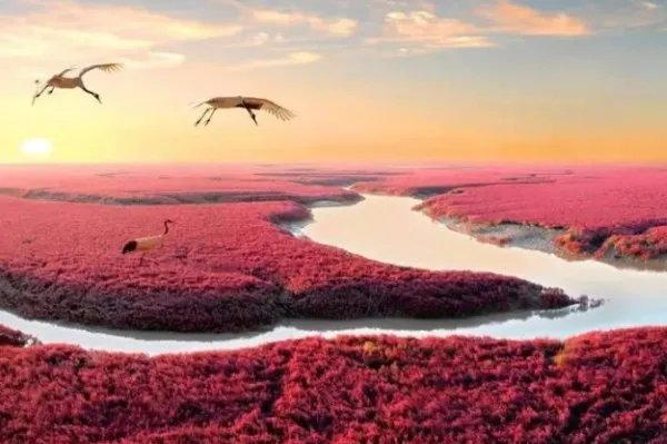 盘锦有哪些旅游景点？