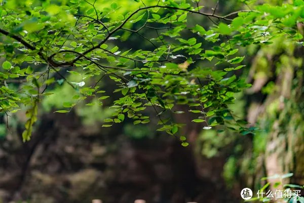 记一次黄河丹峡游记