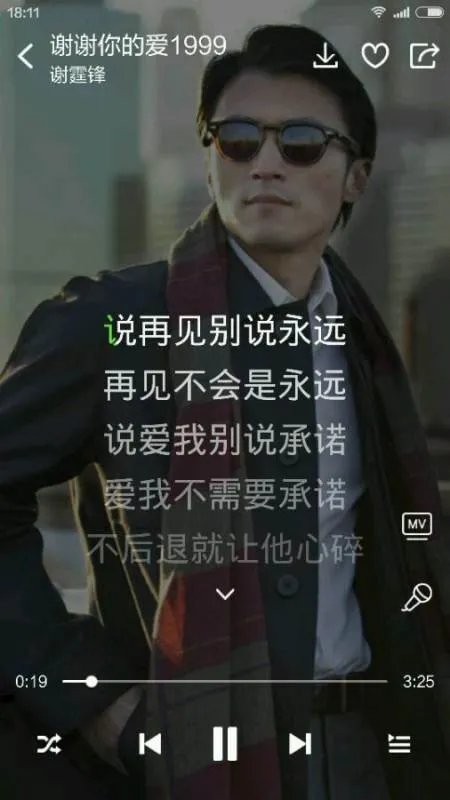 谢谢你的爱1999的歌词