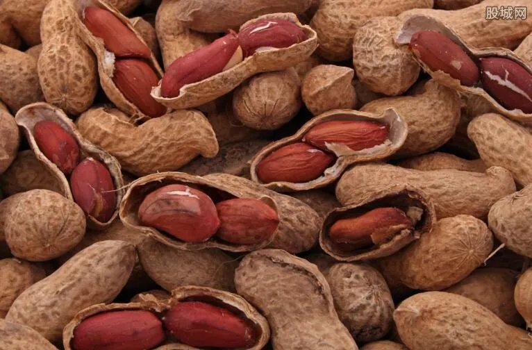 花生价格最新行情 花生现在多少钱一斤