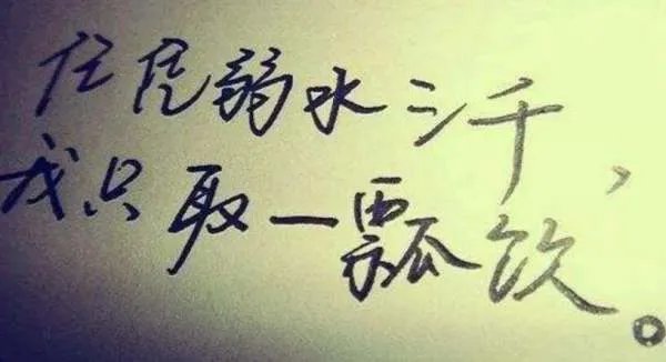 溺水三千只取一瓢是什么意思