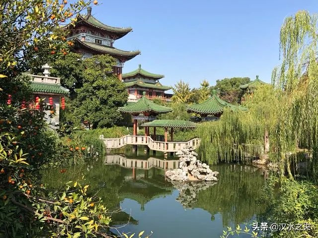 金星老师和《舞蹈风暴》中的沈伟老师，谁的国际影响力更大？