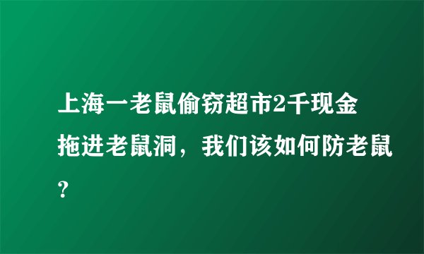 上海一老鼠偷窃超市2千现金拖进老鼠洞，我们该如何防老鼠？