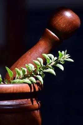 什么中药治疗子宫肌瘤  适合子宫肌瘤的三种中药