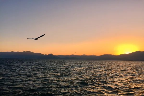 抚仙湖景区值得去吗 抚仙湖门票贵吗