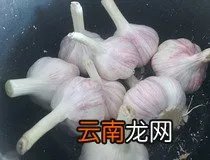 糖蒜怎么做好吃 糖蒜最正宗的做法