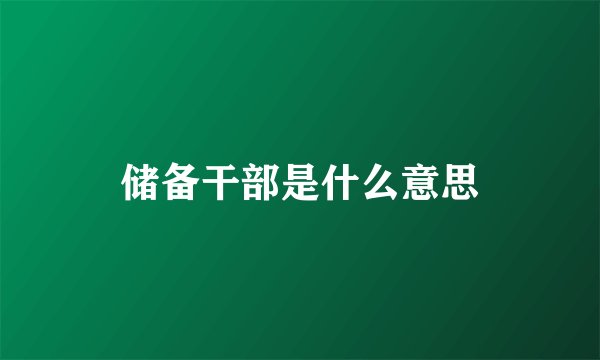 储备干部是什么意思