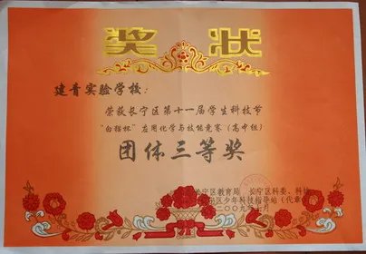 白猫杯的竞赛历史