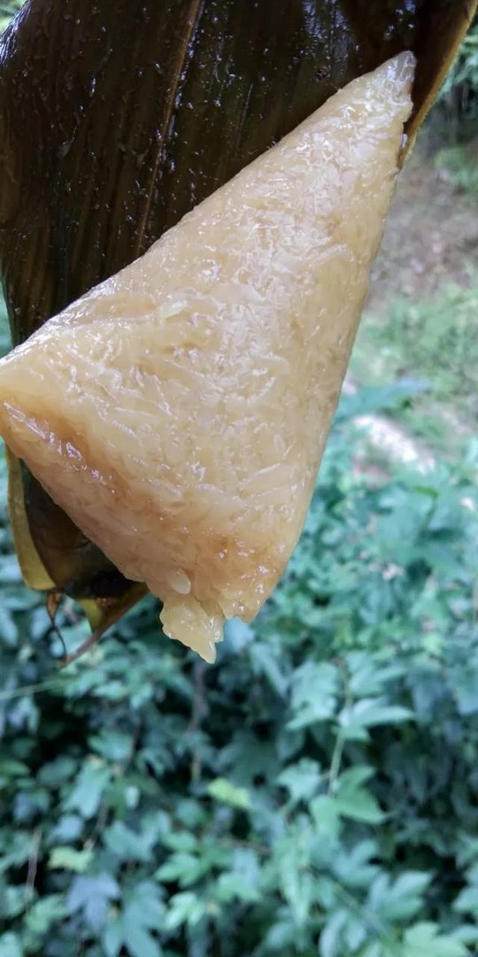 老家的粽子图片