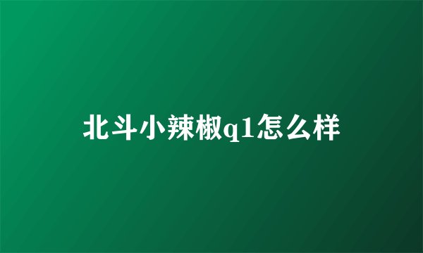 北斗小辣椒q1怎么样