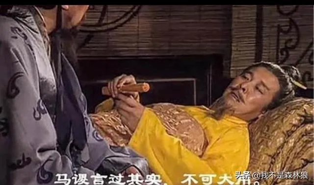 刘备到底是不是王昭君后代？他的一生是怎样的呢？