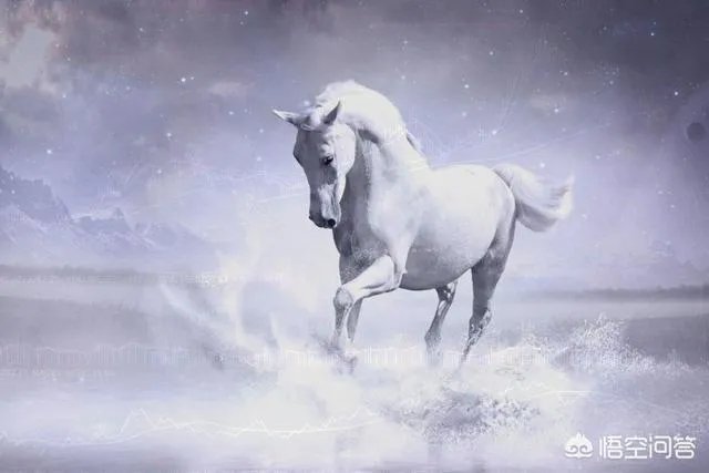 从格力电器到伊利股份，白马股轮番急跌是什么原因？