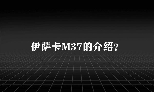 伊萨卡M37的介绍？