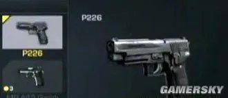 《COD10：幽灵》武器资料