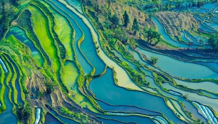 2022春节放假安排时间表(有调休)