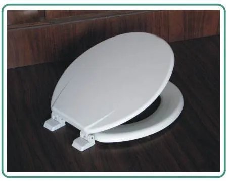 你不知道的事——马桶盖多少钱一个