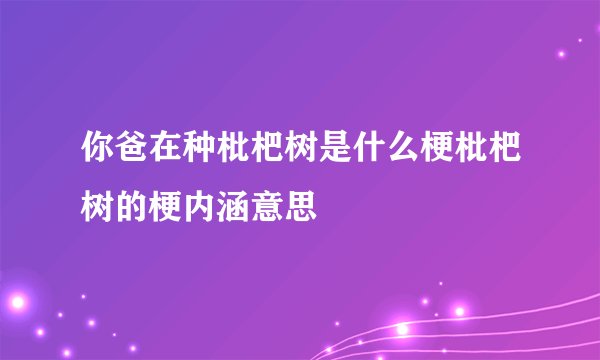 你爸在种枇杷树是什么梗枇杷树的梗内涵意思