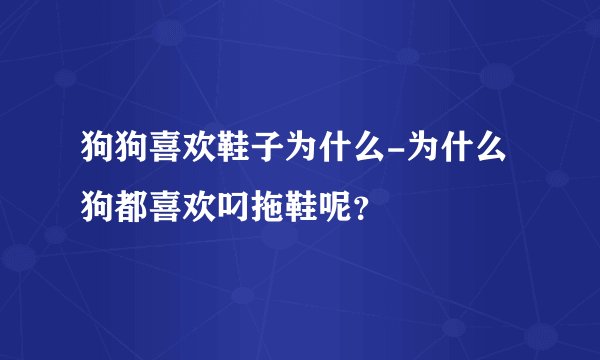 狗狗喜欢鞋子为什么-为什么狗都喜欢叼拖鞋呢？
